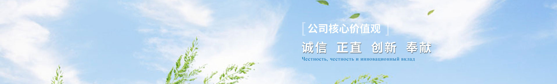 梳棉機(jī)，東佳紡機(jī)